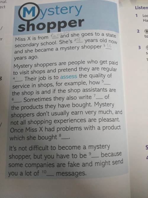Listen to an interview with a mystery shopper and complete the notes.