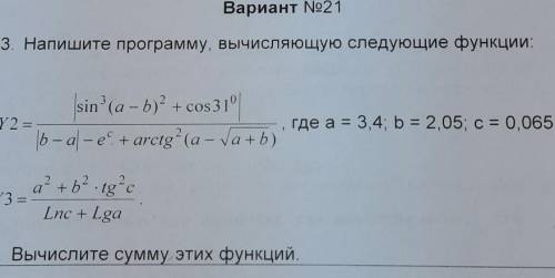 Информатика в программе ​