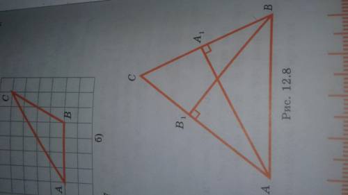 Докажите, что если АА1, ВВ1 -высоты треугольника АВС, то угол А1АС равен углу В1ВС. (рис.12.8)