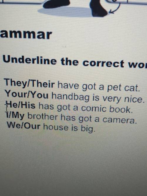 Grammar 3 Underline the correct word.I1 They/Their have got a pet cat.2 Your/You handbag is very nic