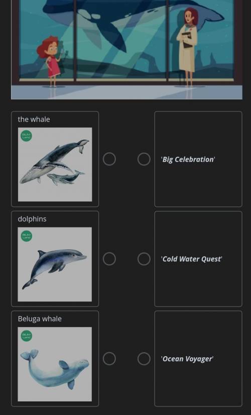 Listen to an online guide in a city aquarium and match the animal to their sections. The audio:​