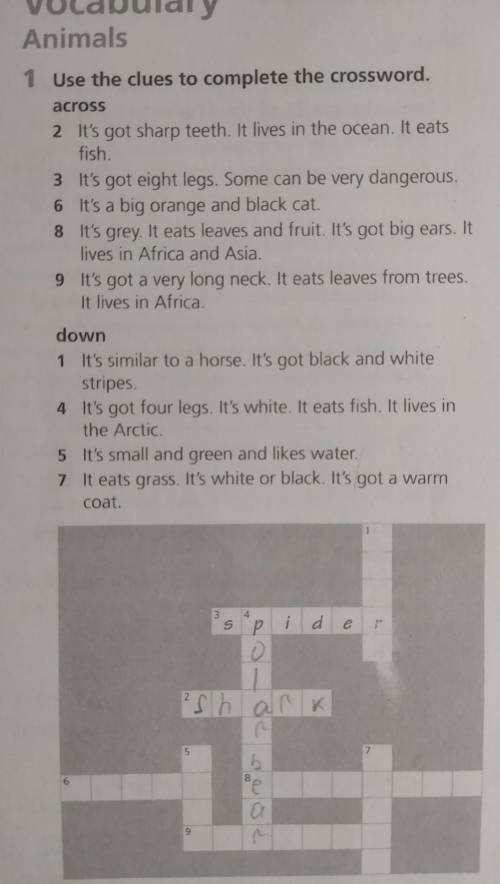 1.Use the clues to complete the crossword.