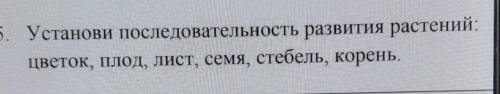 Установи последовательность развития растений Цветок, плод, лист, семя, стебель, корень.