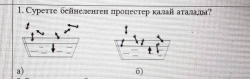 Суретте бейнеленген процестер қалай аталады? а) б)