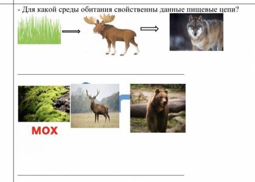 Для какой среды обитания свойственны данные пищевые цепи?