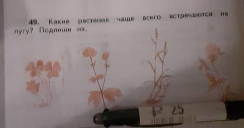 49. Какие лугу? Подлиширастениячашевсего встречаются заранее за и можно ещё можно быстрее ​