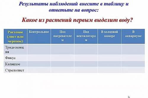 Л.Р-5 Заполните таблицу и ответьте на вопрос . Какое из растений выделит воду первым.