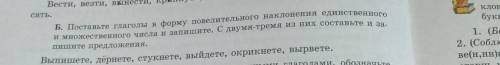 Б. Поставьте глаголы в форму повелительного наклонения единственного и множественного числа и запиши