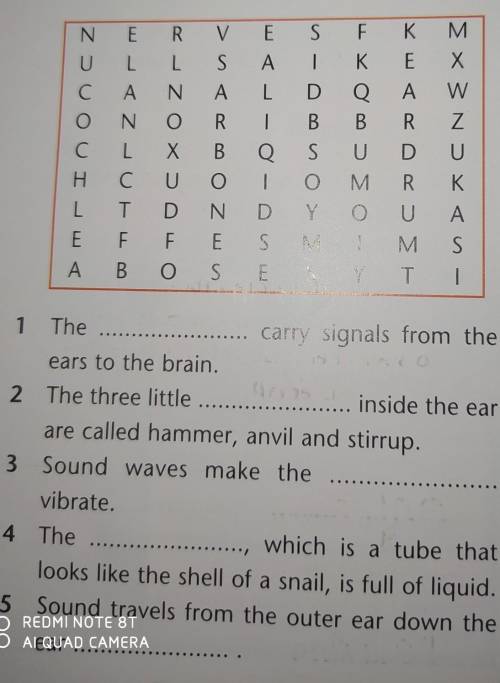 2 ** Search the word grid to find fiveparts of the ear. Then, use the wordsto complete the sentences