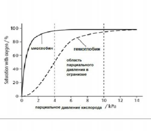 3адание 2. Внизу на графике даны кривые диссоцации кислорода a Объясните кривые диссоцации кислорода