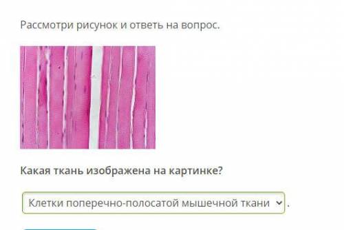 Варианты ответа: покровные ткани, клетки поперечно-полосатой мышечной ткани, микроорганизм