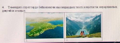 Темендегі суреттерде бейнеленген нысандардың тиісті кеңістіктік. иерархиялык,дитини ин атаны​