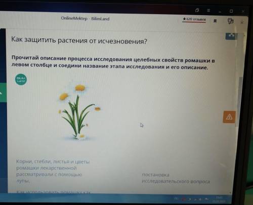 Соединить названия этапа исследования и его описание. Естествознание 4 класс.