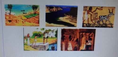 4. Используя рисунки и свои знания по теме, составьте рассказо хозяйственной деятельности египтян.​