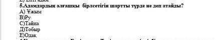 Вдамдардын алғашқы бірлестігін шартты түрде не деп атайды ​