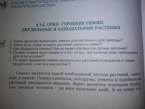 3,4,5 вопрос ответьте надо