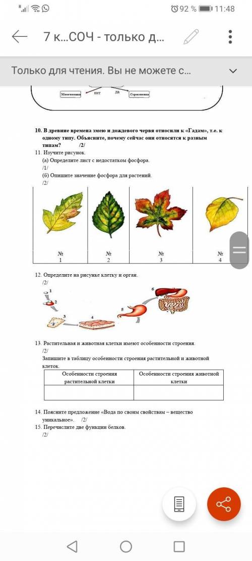 с СОЧЕМ по Биологии хелп ми