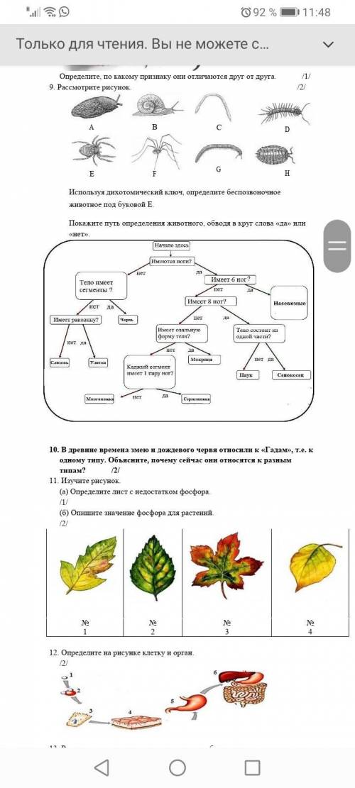 с СОЧЕМ по Биологии хелп ми