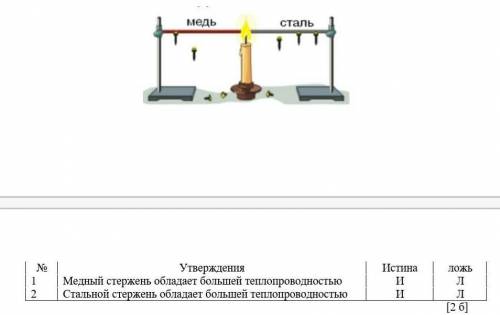 Укажите истинность / ложность утверждения. ​