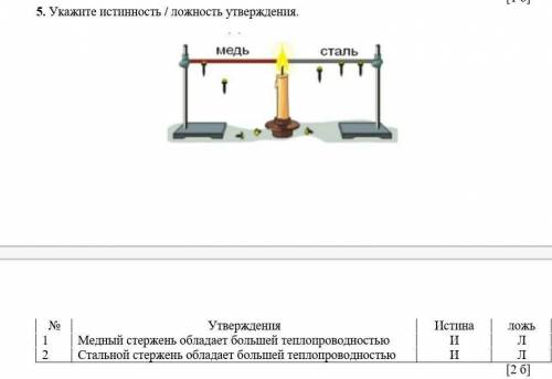 Укажите истинность / ложность утверждения. ​