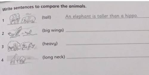 Задание №2 - Second: Напишите предложения, сравнив животных и птиц, используйте степень сравнения пр
