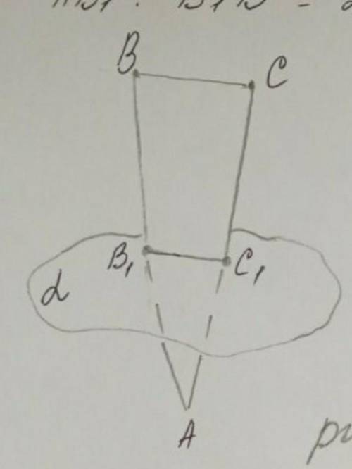 Трикутник ABC перетинає площину гама в точках B1 і C1 . знайдіть довжину відрізка B1C1, коли відомо,