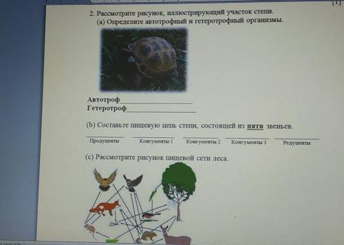 С) Выберите одного из пищевой сети одного продуцента одного консумента 1 порядка одного консумента