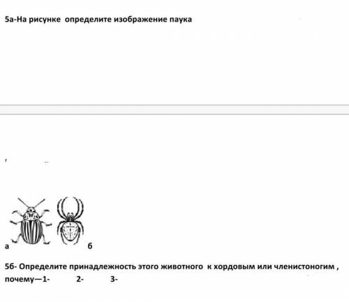 1)На рисунке определите изображение паука 2) Определите принадлежность этого животного к хордовым ил