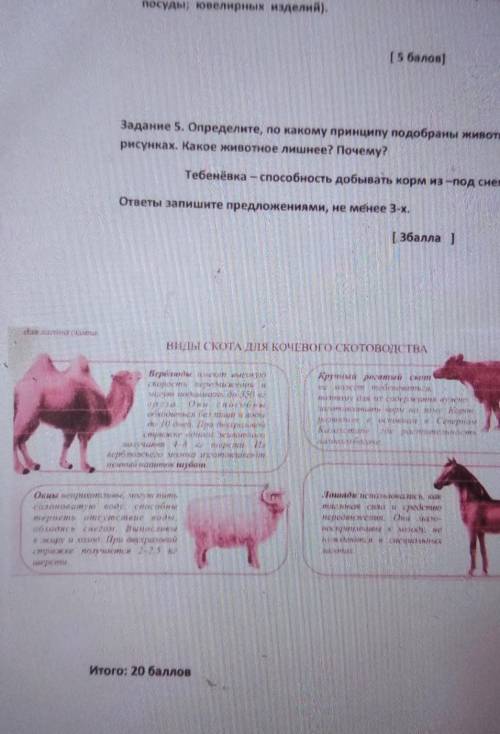 Задание 5. Определите, по какому принципу подобраны животные на рисунках. Какое животное лишнее? Поч