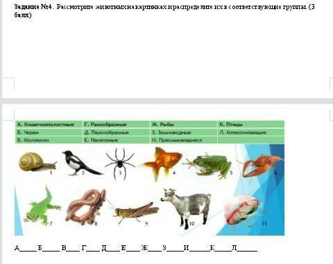 Расмотрите на животных на картинках распределите их в соответствующих группы​