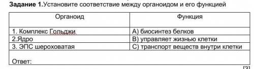 Установите соответствие между органоидом и его функцией​