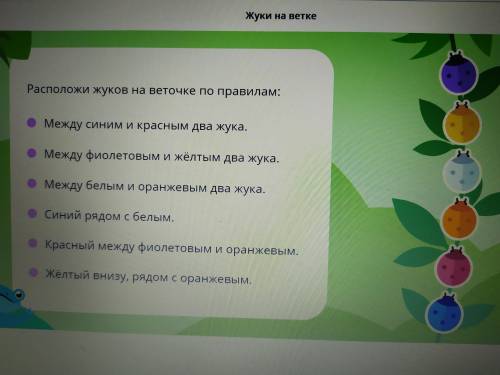 Расположи жуков на веточке по правилам между синим и красным два жука между фиолетовым и жёлтым два