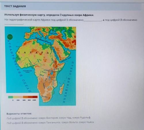 Используя физическую карту определите 2 крупных озера Африки