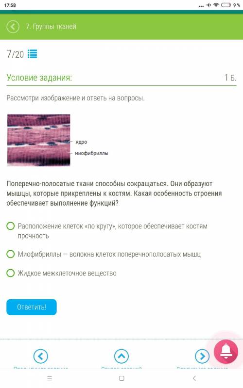 Поперечно-полосатые ткани сокращаться. Они образуют мышцы, которые прикреплены к костям. Какая особе