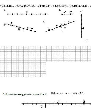 В 4 задание в конце написано координатные прямые