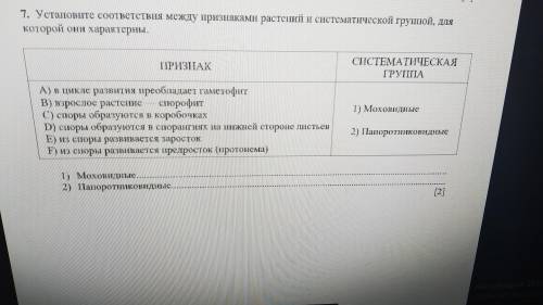 Установите соответствия