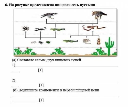 6. На рисунке представлена пищевая сеть пустыни (а) Составьте схемы двух пищевых цепей1) [1] 2) [1]