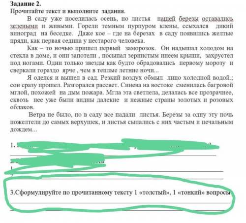 3.Сформулируйте по прочитанному тексту 1 « толстый » , 1 « тонкий » вопросы В саду уже поселилась ос