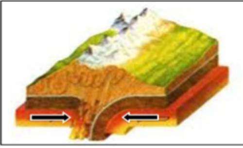 A. Определите вид тектонического движения по рисунку. b. На границе, каких литосферных плит наблюдае