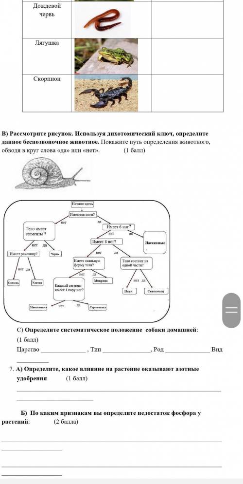 соч по биологии продолжение