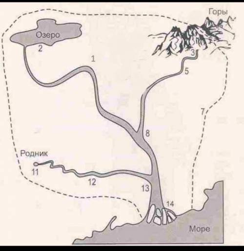 определите часть реки по цифрами 6 класс​
