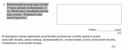 2. Фактический размер ядра клетки 15 мкм, размер изображения 1,5 см. Вычислите линейный размер ядра