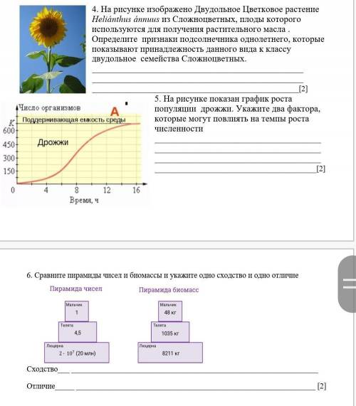 если сможете напишите