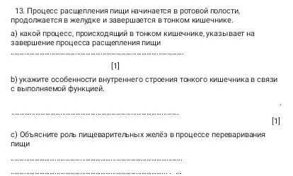 процесс расщепления пищи начинается во второй полости продолжается в желудке и завершается в тонком