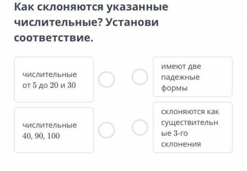 Как склоняются указанные числительные? Установи соответствие. числительные от 5 до 20 и 30 числитель