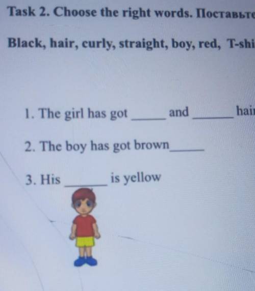 Task 2. Choose the right words. IIocrabble HymHbIe coBa. Black, hair, curly, straight, boy, red, T-s