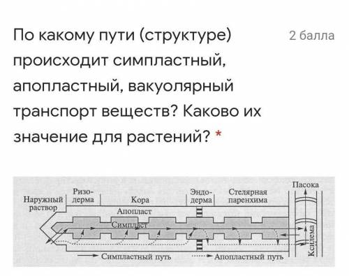 Какова эволюционная ценность образования ферментов и какие преимущества они дают для живых организмо