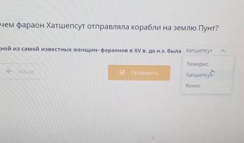 Зачем фараон Хатшепсут отправляла корабли на землю Пунт? Одной из самой известных женщин- фараонов в