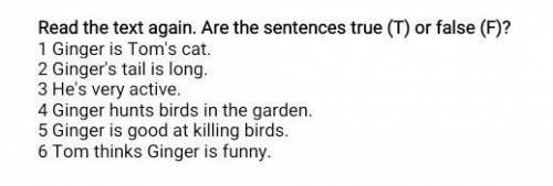 Read the text again. Are the sentences true (T) or false (F)? 1 Ginger is Tom's cat.2 Ginger's tail