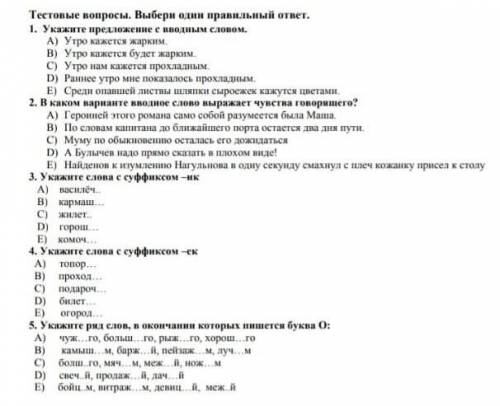 Соч 6 класс русский язык ​